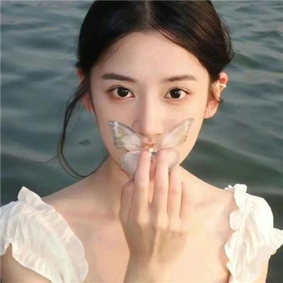 七只狐狸